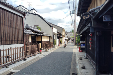 Nara: Guided Walking Tour with Great Buddha and Deer(5h)