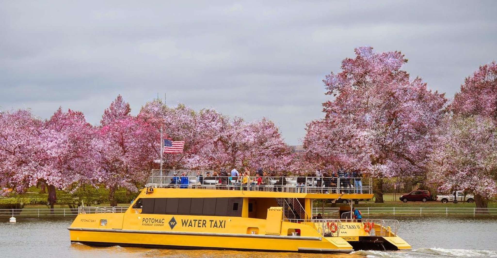 DC, Hop-on Hop-Off Sightseeing Tour por autobús abierto - Housity