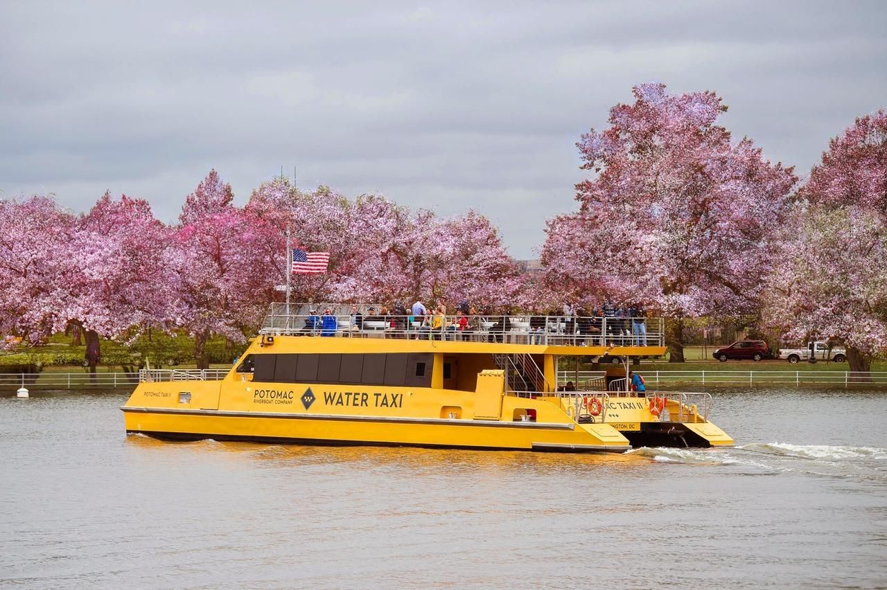 DC: City Cruise Wassertaxi-Pass & Hop-On/Hop-Off-Bustour