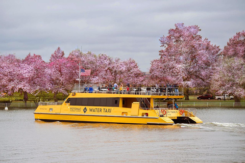 DC: Hop-On Hop-Off Sightseeing Tour by Open-top Bus 1-Day Ticket