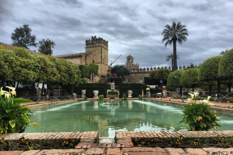 Ab Sevilla: Ganztägige private Tour durch Cordoba