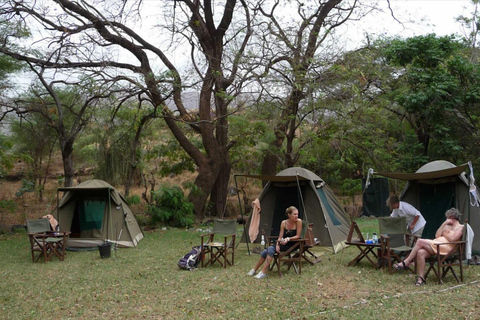 Arusza: 4 dni safari w Tarangire, Serengeti i Ngorongoro4 dni przygody z dziką przyrodą w Tarangire, Serengeti i Ngorongoro