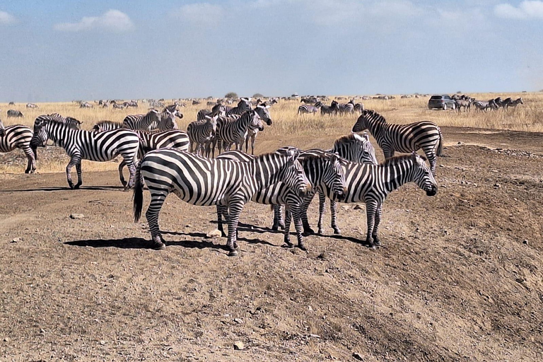 Parque Nacional de Nairóbi - Passeio de carro com orçamento limitado.Passeio de jogo econômico pelo Parque Nacional de Nairobi.