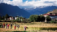 Bhutan Glimpse - Housity