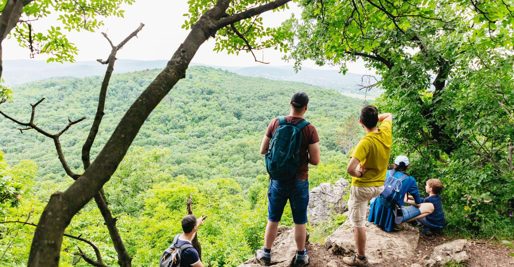 Budapest: Buda Hills Guided Hiking Tour with Optional Lunch photo 2