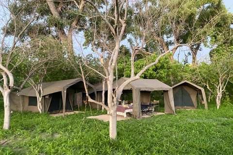 Maun: Excursión de 6 días a Okavango, Savuti, Chobe y Cataratas Victoria