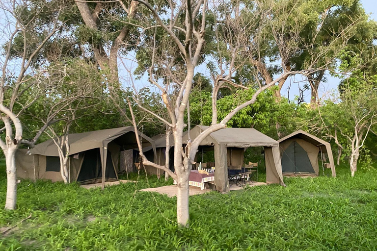 Maun: Excursión de 6 días a Okavango, Savuti, Chobe y Cataratas Victoria