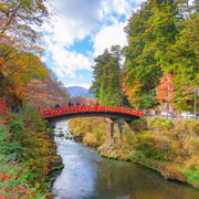 From Tokyo: Nikko Private Day Trip with Guide and Pickup