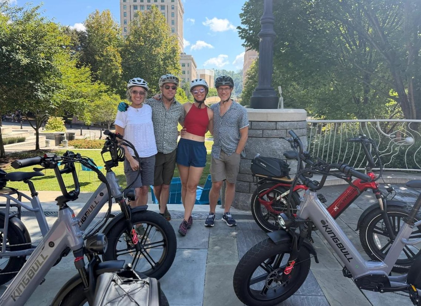 Asheville: Guidet tur på elcykel