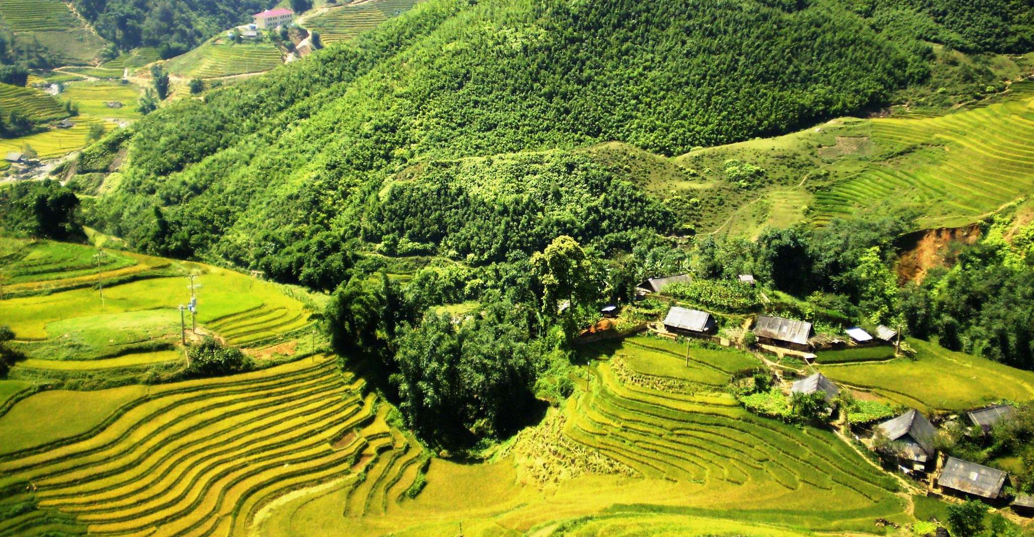 From Sapa, Terrace Fields and Local Villages Trek with Lunch - Housity