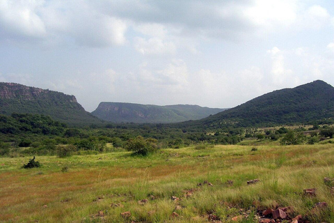 Desde Delhi: Excursión de 4 días al Triángulo de Oro con RanthamborePRECIO SIN HOTELES