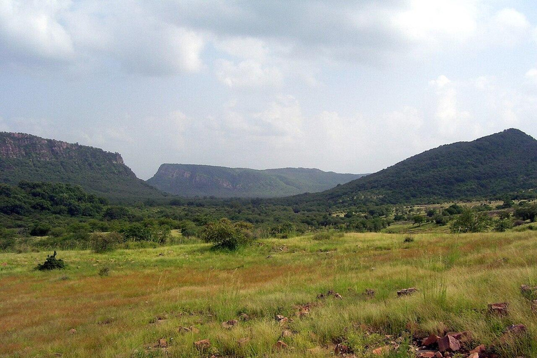 De Deli: Excursão de 4 dias ao Triângulo Dourado com RanthamborePREÇO SEM HOTÉIS