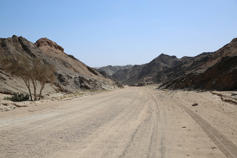 沙漠月球景观之旅：探索纳米比亚的神秘地形