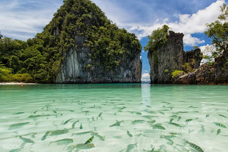 Krabi: tour di un giorno delle Isole Hong in barca a coda lunga