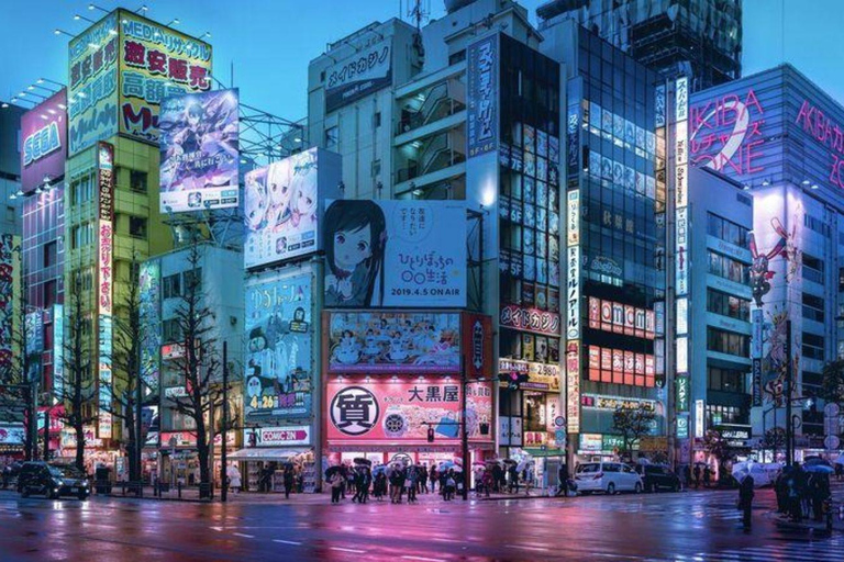3/5/7 Days Private Japan Tour with English Speaking Guide 3 Days Private Tokyo or Kyoto Tour with English Guide