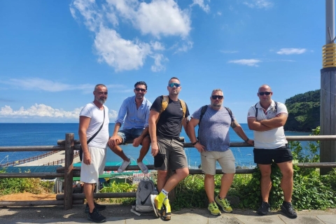 Excursión de un día por las Rutas Oeste y Sur de JejuPunto de encuentro: Shilla Duty Free