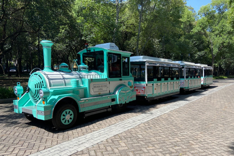 CDMX: Anthropology Museum, Chapultepec Castle and Train