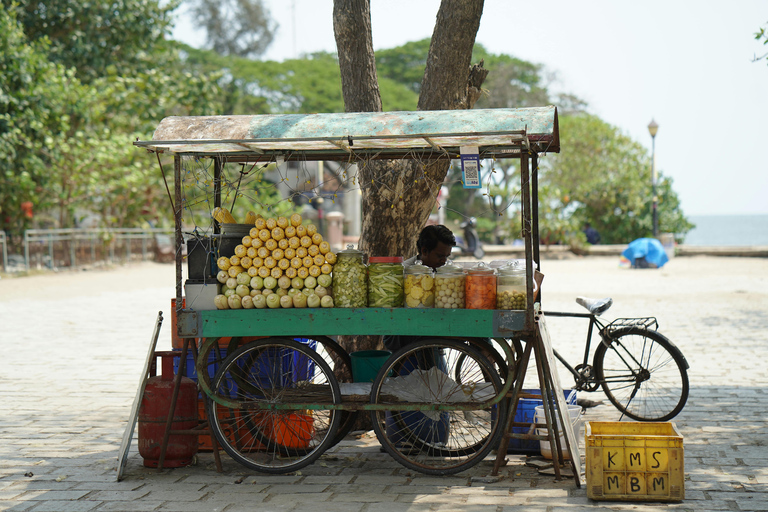 Kochi: Athirappilly Waterfalls & Fort Kochi Full Day Tour