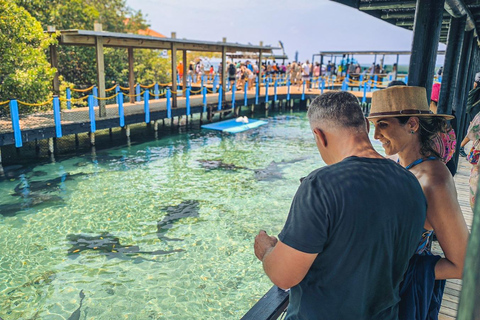 Cartagena: fuga caribenha personalizada com almoço e bebidasCartagena: Fuga pessoal ao Caribe com almoço e bebidas