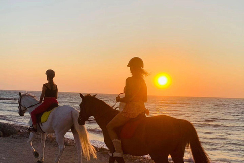 جزيرة رودس: ركوب الخيل على الشاطئ عند غروب الشمس