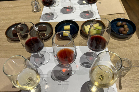 Porto: Degustazione guidata del vino Porto con ParingsPorto: Degustazione guidata di 5 vini di Porto con degustazioni