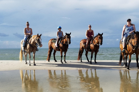 COSTA RICA:UPPTÄCK COSTARICAS VILDA DJUR-STRAND &amp; SKOG 2VECKOR