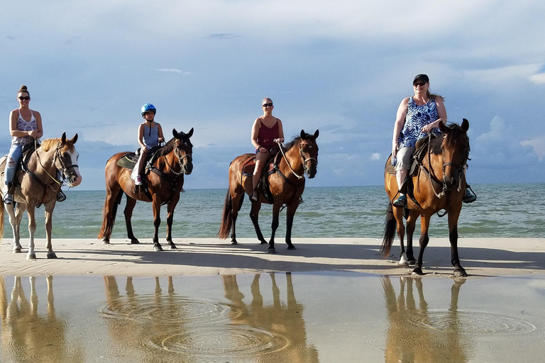 COSTA RICA:UPPTÄCK COSTARICAS VILDA DJUR-STRAND &amp; SKOG 2VECKOR