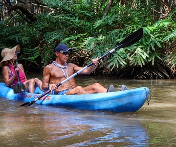 Quepos: Kayak Tour in the Mangroves Near Manuel Antonio Park