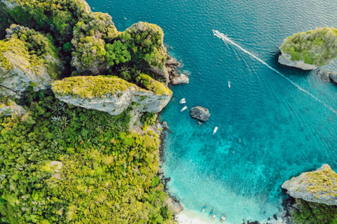 Phi Phi: Full Day by Longtail Boat with Sunset and Plankton