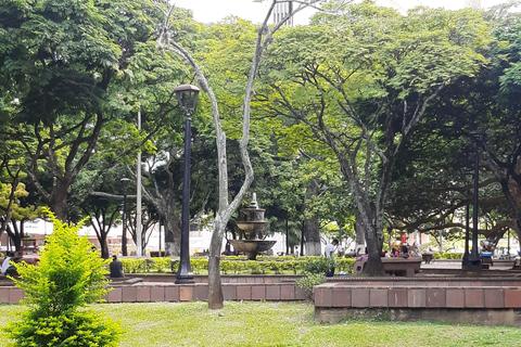 Cali Salsa Walking Tour