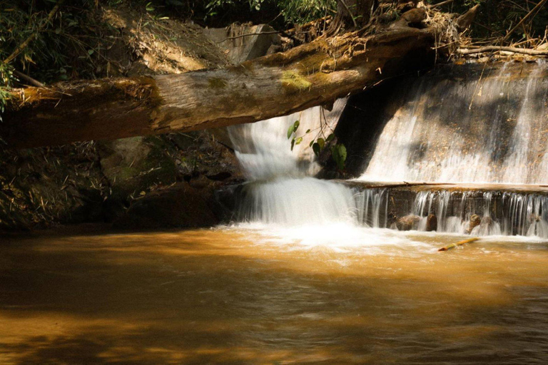 Chiang Mai ATV & White Water Rafting & Trekking to Waterfall