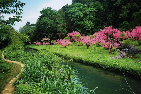 Guilin:3-star Li River Cruise with Scenic Views Guilin:3-star Li River Cruise with Shiwai Taoyuan