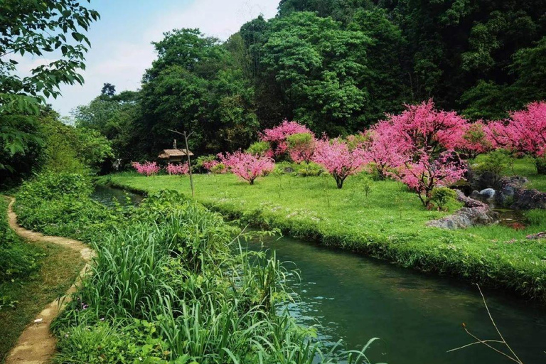 Guilin:3-star Li River Cruise with Scenic Views Guilin:3-star Li River Cruise with Shiwai Taoyuan