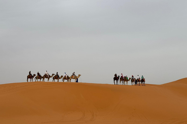 Marrakech to Fes 3 day Desert Tour Camel & luxury Tente Marrakech to Fes 3 day Desert Tour Standard Desert Tents