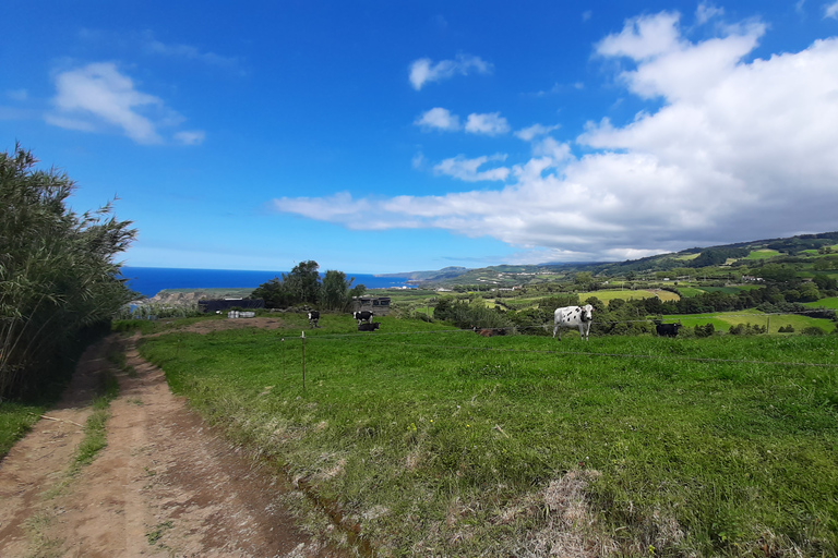 Azores: São Miguel Hike and snorkeling