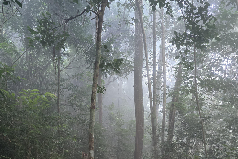 Luang Prabang: 3-Day Nong Khiaw Hiking and Kayaking Tour