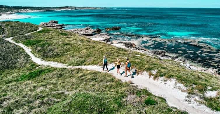 Rottnest Island: Eco Walking Tour | GetYourGuide