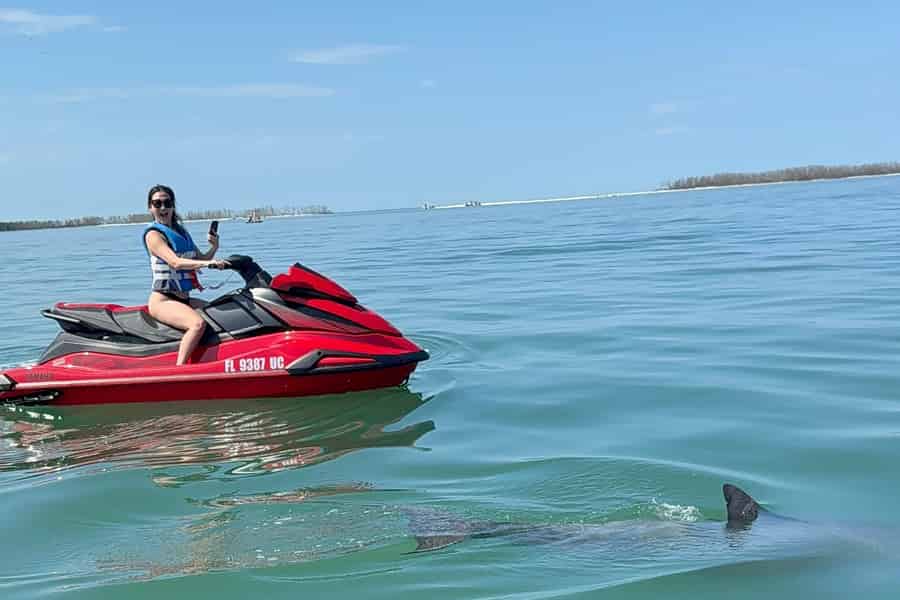 Clearwater: 1-stündige Jetski-Delfin-Tour mit Guide. Foto: GetYourGuide