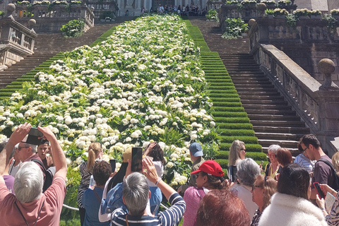 Barcelone : visite citadine privée de GéroneBarcelone : Excursion Privée d&#039;une Journée à Gérone et Besalú