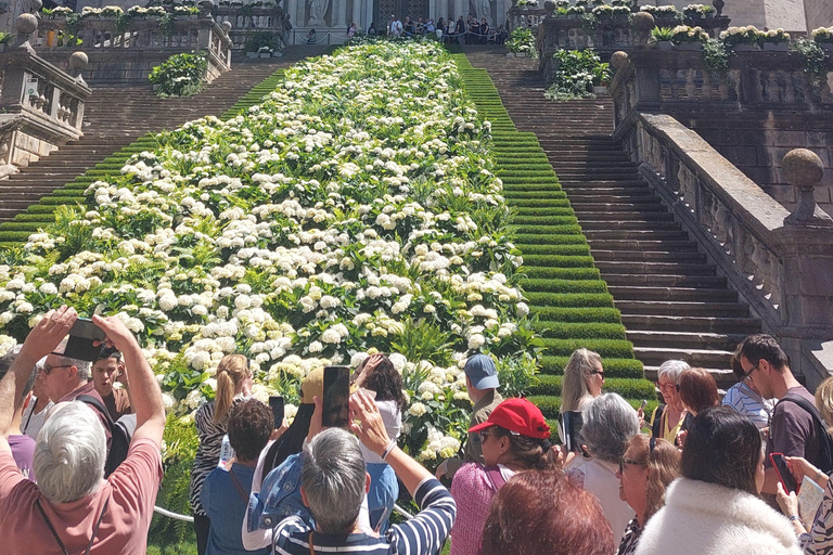 Barcelone : visite citadine privée de GéroneBarcelone : Excursion Privée d&#039;une Journée à Gérone et Besalú