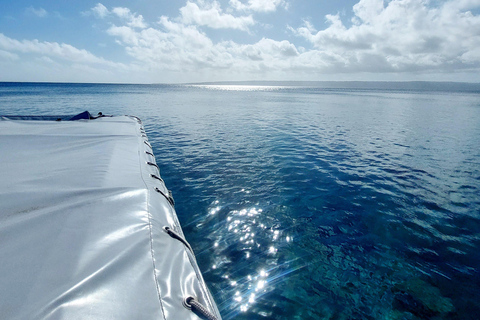 Sport acquatici Port Vila: Avventura di snorkeling sulla tripla barriera corallinaPort Vila: Avventura di snorkeling sulla tripla barriera corallina