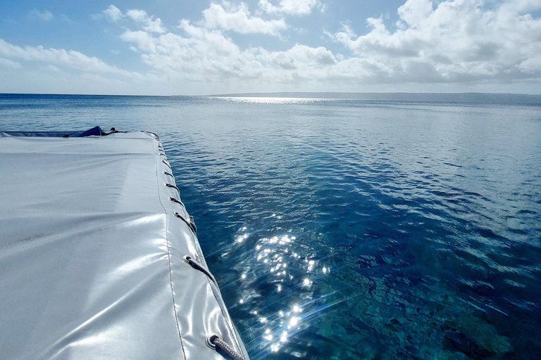 Deportes acuáticos Port Vila: Aventura de snorkel en el Triple ArrecifePort Vila: Aventura de snorkel en el Triple Arrecife