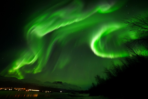 Tromsø: Northern Lights Tour with Free Professional Portrait