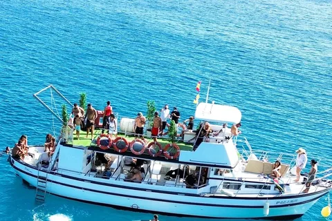 Costa Calma: Fuerteventura Dolphin Watching Boat Tour