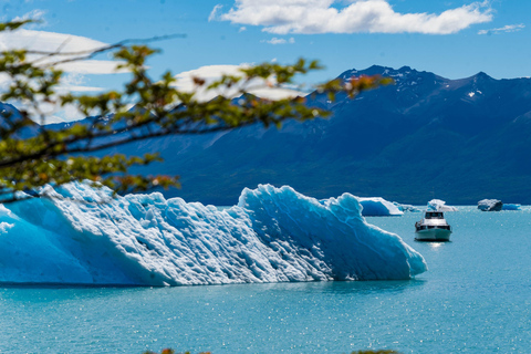 Full Day All Glaciers Tour in Calafate
