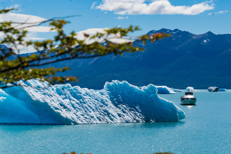 Full Day All Glaciers Tour in Calafate