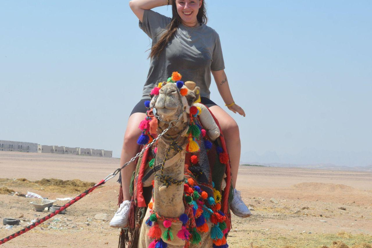 From Makadi Bay: Morning Quad Tour Hurghada With Camel Ride 2-Hour Quad Bike — Hurghada, Sahl Hasheesh, Makadi Bay