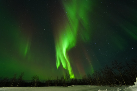 Da Kiruna: Tour dell&#039;aurora boreale nel Parco Nazionale di AbiskoDa Kiruna: tour dell&#039;aurora boreale del Parco Nazionale Abisko