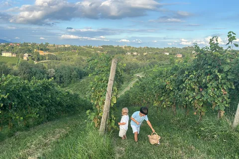 Prosecco: Wine & Food Feast in Family Osteria