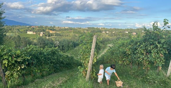 Prosecco: Wine & Food Feast in Family Osteria